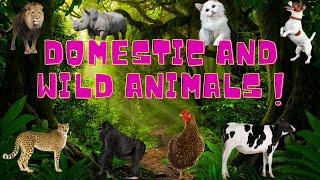 Domestic And Wild Animals| #animals #wildanimals #domesticanimals #petanimals