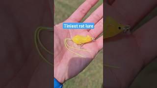 Tiniest Hard Mouse Fishing Lure with a LOUD Knocker rattle! Tiemco Wild Mouse Mini Hard