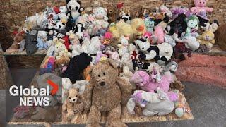 BC couple finds over 100 stuffed animals hidden in walls during renovation