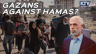 Survey: Majority Gazans Think Hamas Made Mistake on Oct. 7