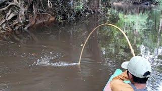 MANCING JORAN BAMBU DAN MASAK IKAN DI DALAM HUTAN