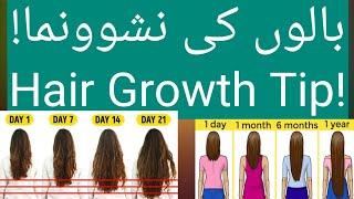 (بالوں کی نشوونما!) Hair Growth Tip!  || #YouTubeShorts |