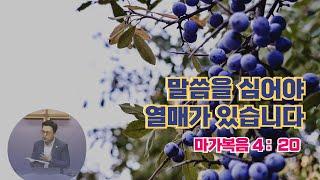 말씀을 심어야 열매가 있습니다 You have to sow the word to bear fruit (마가복음4:29) 이준영목사