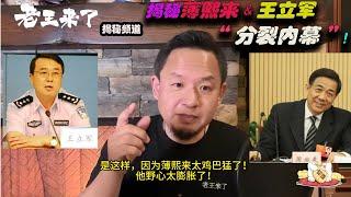 老王来了：揭秘薄熙来和王立军分裂内幕！#老王来了 #老王来了揭秘 #老王来了揭秘频道  #大老王 #王吉舟 #薄熙来 #王立军