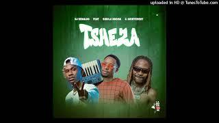 DJ Renaldo Feat DJ Sibula & Suintement -Tsheza