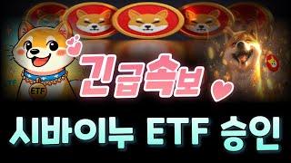 [긴급속보] 시바이누코인 시바ETF 출시확정! 세력들의 노림수를 폭로합니다 #도지코인 #시바이누코인