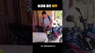 달걀을 품은 헬멧