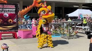 Epic Chinese Lion Dance: Unleashing Tradition and Spectacle! #liondance