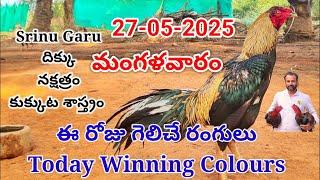 27 May 2025 Today Winning Colours//kukkuta sastram//colour update #telugu