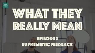 Euphemistic Feedback - What They Really Mean