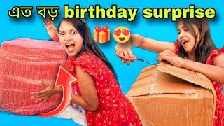 এতো বড়ো Birthday surprise পেলাম  || দেখে আমি তো পুরোই অবাক 