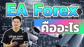 EA Forex คืออะไร ? ดีหรือไม่  - การเงินวันละคำ EP. 32