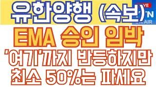 유한양행 주가전망 분석 - 주말속보) EMA 승인 임박! '여기'까지 반등하지만 최소 50%는 파세요!