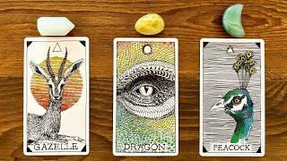 GOOD NEWS FROM YOUR FUTURE SELF! | Pick a Card Tarot Reading