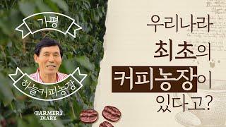 [FARMER's DIARY] 우리나라 최초의 커피체험농장은 바로 여기!