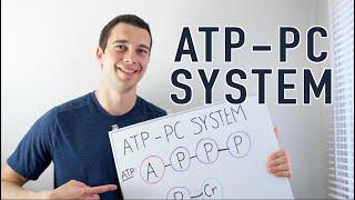 ATP PC System Explained