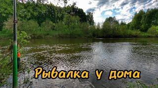 Рыбалка у дома на поплавок!Отличный клёв после дождя.Густера,Плотва и даже Карась.