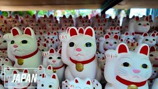 Gotokuji Temple - Day -｜Tokyo｜temple in Tokyo known for its many maneki-neko, or "beckoning cat" ...