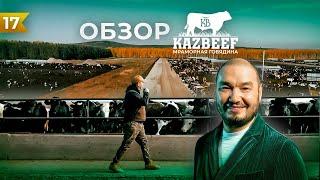 Обзор откорм площадки, репродуктора и мясокомбината KazBeef