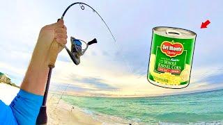 The SECRET is OUT! On This Surf Fishing!