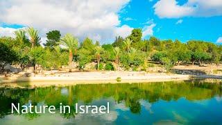 Biblical and Modern Israel. At The Foot of Jerusalem. Ayalon Canada Park