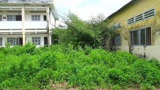 Quickly clean up the abandoned high school, overgrown with grass