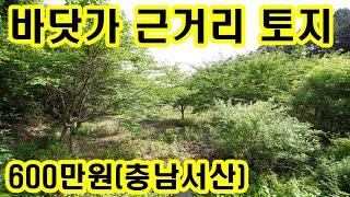 바닷가 근거리 충남서산 185평 토지 매매 600만원~ 싼땅 자연인 조용한곳 서산토지매매 매물