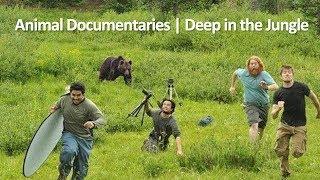 Deception in Animal Documentaries