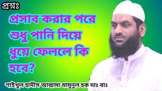 প্রসাব করার পরে শুধু পানি দিয়ে ধুয়ে ফেললে কি হবে। Allama Mamunul Haque । Bangla Mohan TV