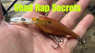 Conditions When A Shad Rap Outperforms Any Other Lure