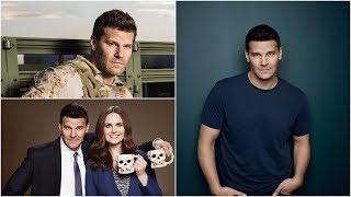 David Boreanaz: Short Biography, Net Worth & Career Highlights