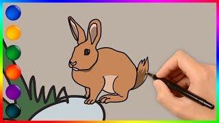 Forest animals coloring and drawing Learn Colors for all ages | ColorArto