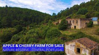 APPLE AND CHERRY FARM FOR SALE - MOUNTAIN NATURE RESERVE IN FUNDAO CENTRAL PORTUGAL