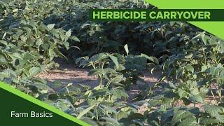 Farm Basics #1124 Herbicide Carryover (Air Date 10-20-19)