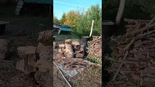 Все прекрасно.Хочу в деревню.#️