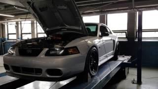 Mustang GT 2003 Tork Tech Dyno