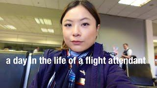 a day in the life of a flight attendant  working day turn / Flight attendant Vlog