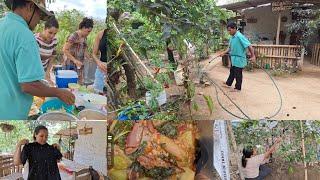 cuidamos do sítio saímos pra almoçar fora no vizinho +recebidos Ana Paula Alagoana