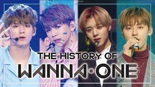 WANNAONE SPECIAL Since 'Energetic' to 'Spring Breeze'(47m stage compilation)