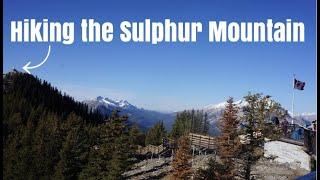 Hiking the Sulphur Mountain - Information & Review