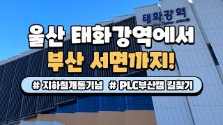 [김영편입PLC부산] 울산 수험생들 집중! 안 보면 후회합니다 ㅣ 태화강역 지하철 개통 기념  레이스