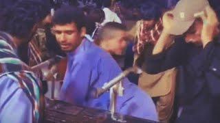 Pashto Meme Song | Ultra Criminal Fashion da ful tendency| Aminullah Marwat