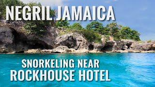 Snorkeling near Rockhouse Hotel NEGRIL, JAMAICA [4K]