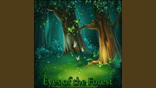 Eyes of the Forest