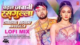 Lofi Mix By VDJ FLY,SKY THE SANGEETKAR चढ़ल जवानी रसगुल्ला | #Neelkamal Singh #Shilpi Raj #Namrita