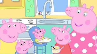 小猪佩奇 | 嬰兒 | 兒童卡通片 | Peppa Pig Chinese | 动画