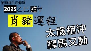 2025年肖豬運程|太歲相沖 驛馬又動 | 驛馬 左輔 國印 | 劉鎮鋒生活頻道