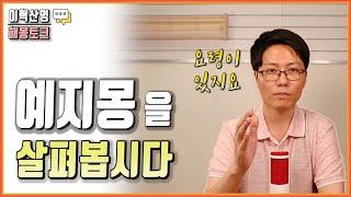 '예지몽'을 살펴보는 꿈 해몽 요령 소개합니다.