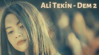 Ali Tekin - Dem 2 ( Lyrics Video )