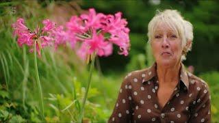 Autumn Gardening with Carol Klein Eps 3